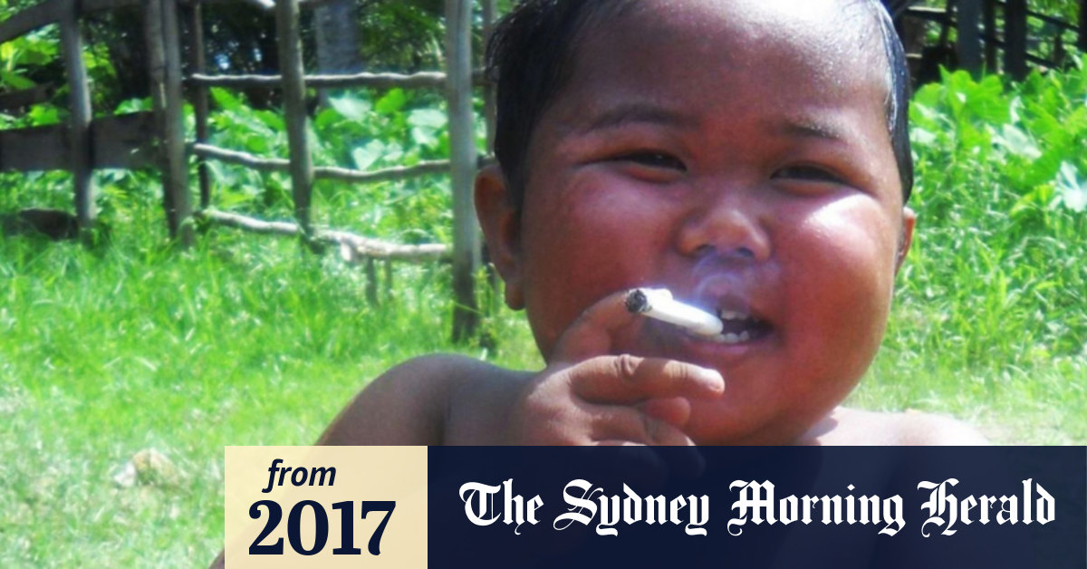 The Best 14 Chicken With A Fish Head Smoking A Cigarette greatmediamix